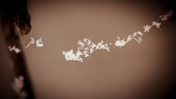 Snowflake Line