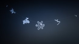 Snowflake Network