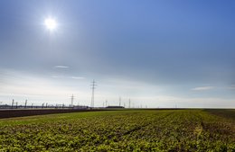 Fields under the Sun