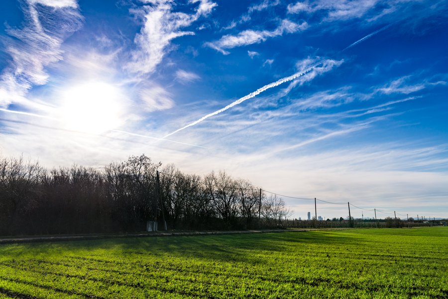 Green Fields