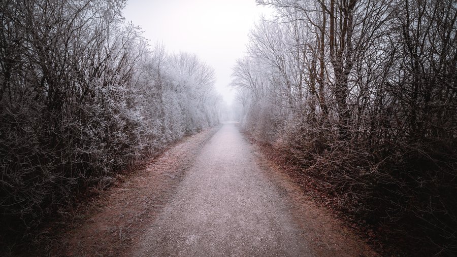 The Long Ice Path