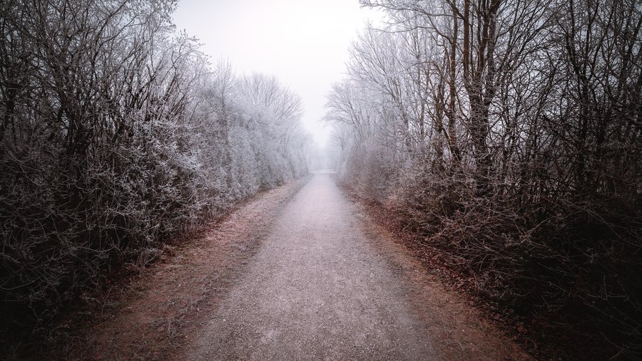 The Long Ice Path