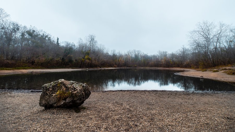 The Foggy Lake