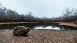 The Foggy Lake