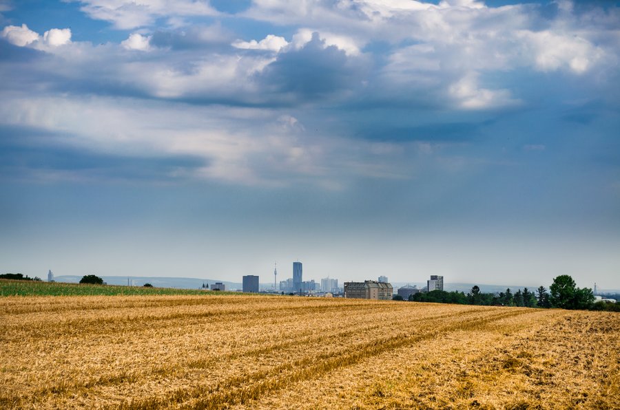 Vienna from South