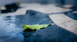 Sidewalk Rain