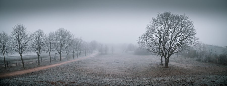 Mystic Cold Path