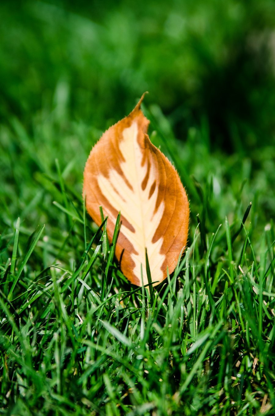 Grüße vom Herbst