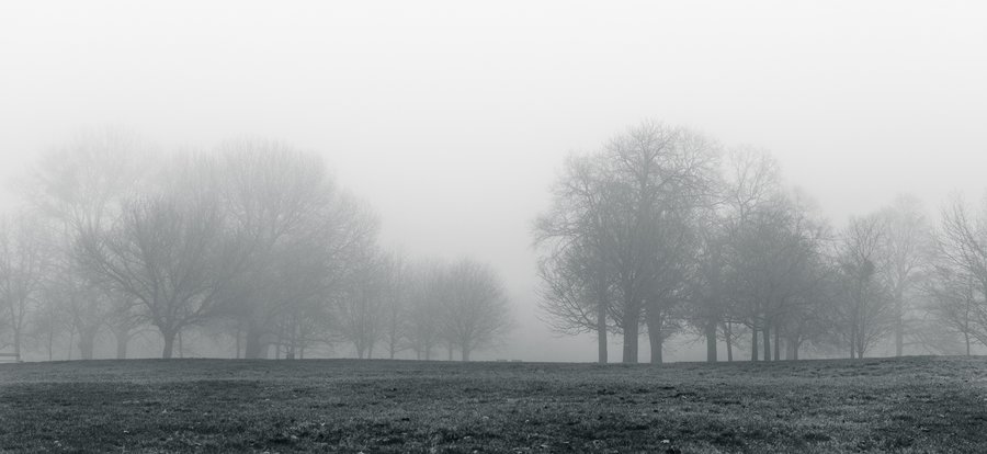 Winter Fog