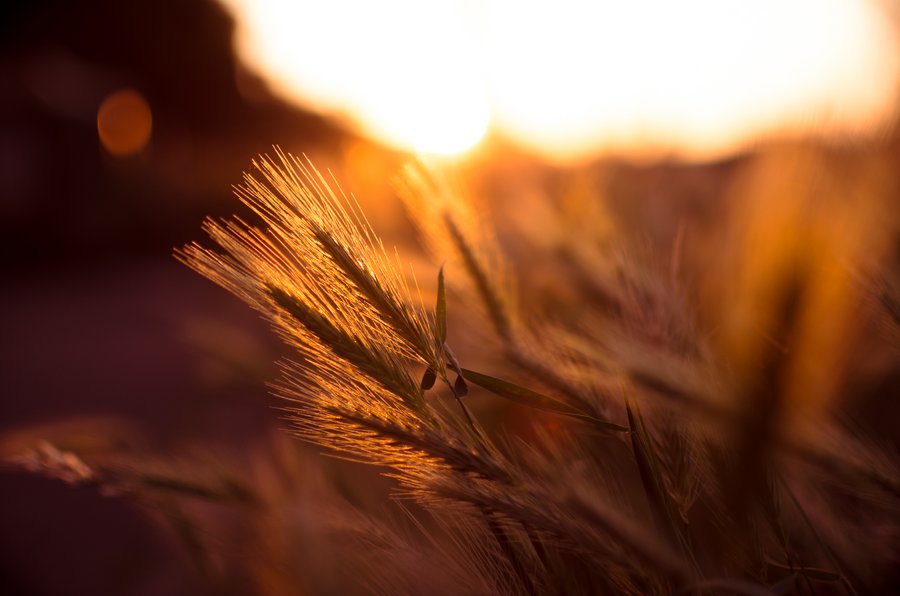 Sommerliche Wärme