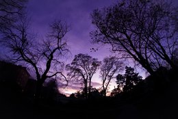 Fisheye Sunset