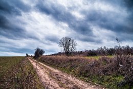 Stormy Day