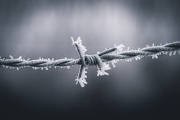 Frozen Steel