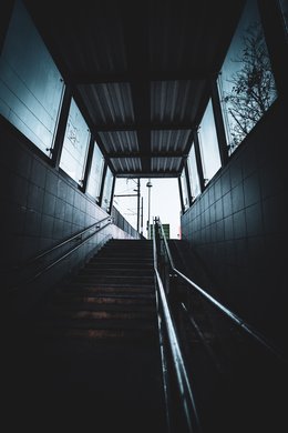 The Way Up