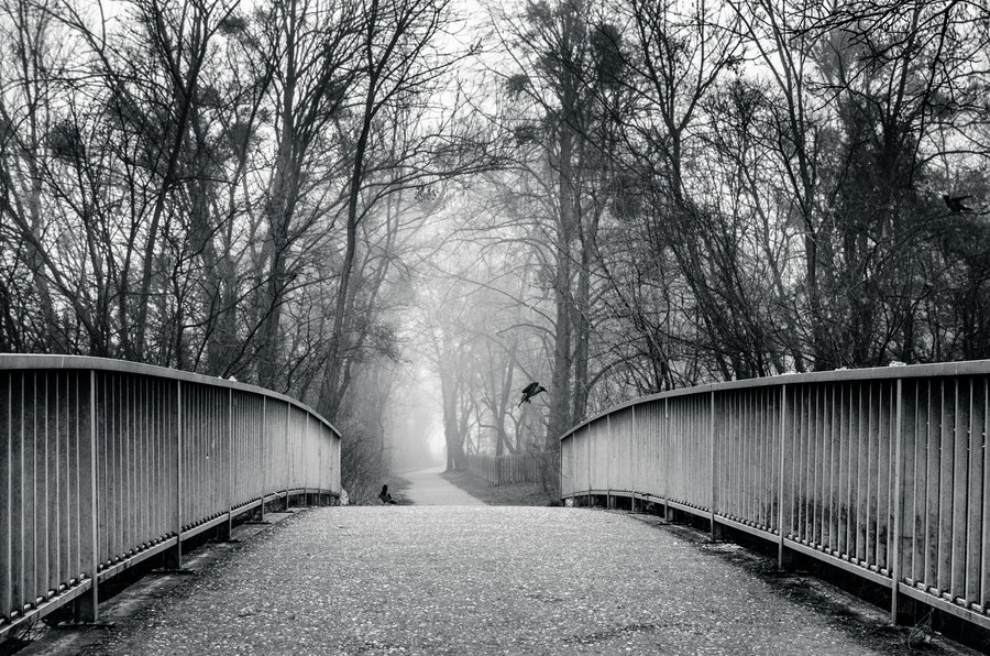 Raven Bridge