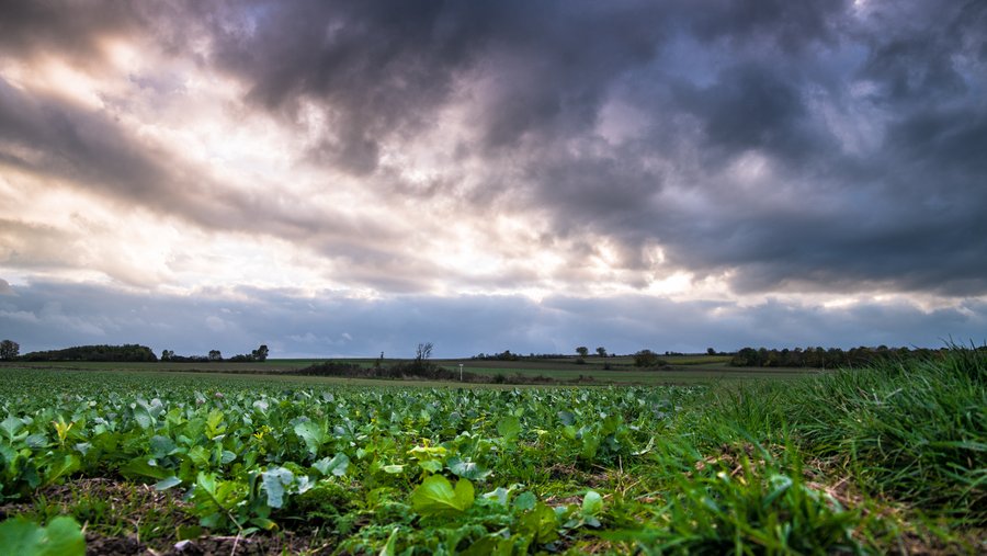 The Clouds on the Field