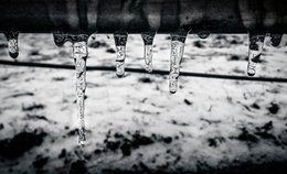 Frosty Park Bench