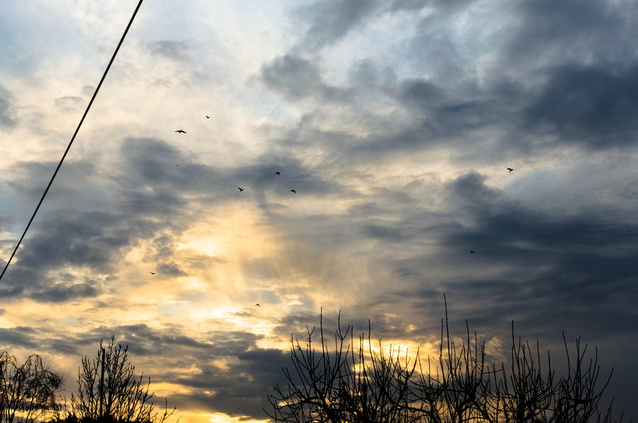 Twilight Flight