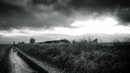 Field Path BW