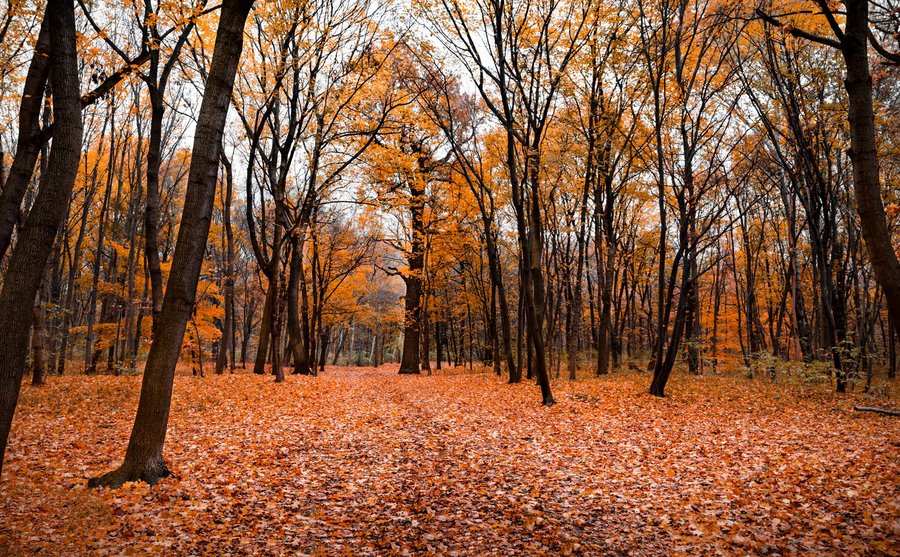 Herbstliche Stille