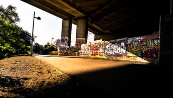 Morning Light